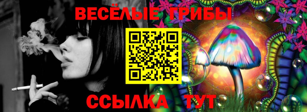 Ноябрьск  Галлюциногенные грибы Magic Shrooms  Вход с VPN 